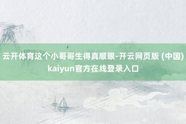 云开体育这个小哥哥生得真顺眼-开云网页版 (中国)kaiyun官方在线登录入口