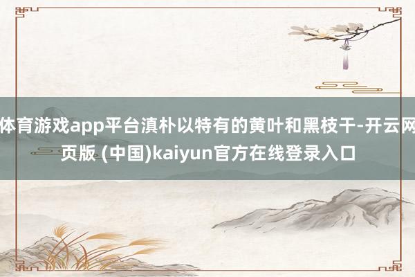 体育游戏app平台滇朴以特有的黄叶和黑枝干-开云网页版 (中国)kaiyun官方在线登录入口