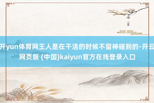 开yun体育网王人是在干活的时候不留神碰到的-开云网页版 (中国)kaiyun官方在线登录入口